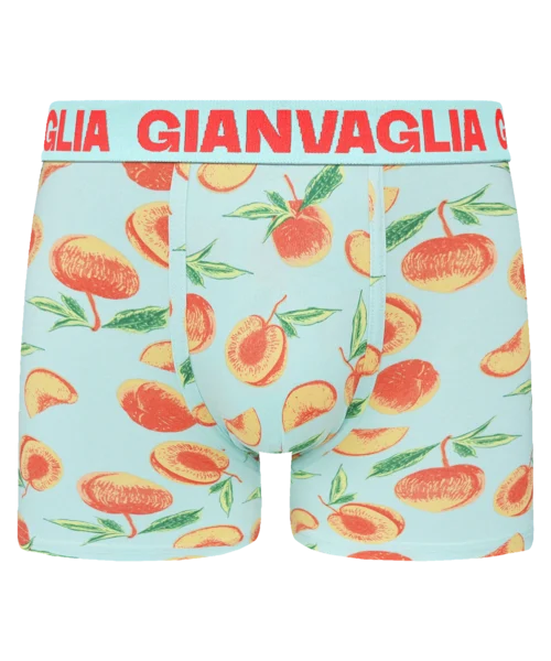 Lot de 5 Boxers Gianvaglia