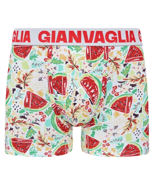 Lot de 5 Boxers Gianvaglia