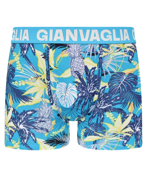 Lot de 5 Boxers Gianvaglia
