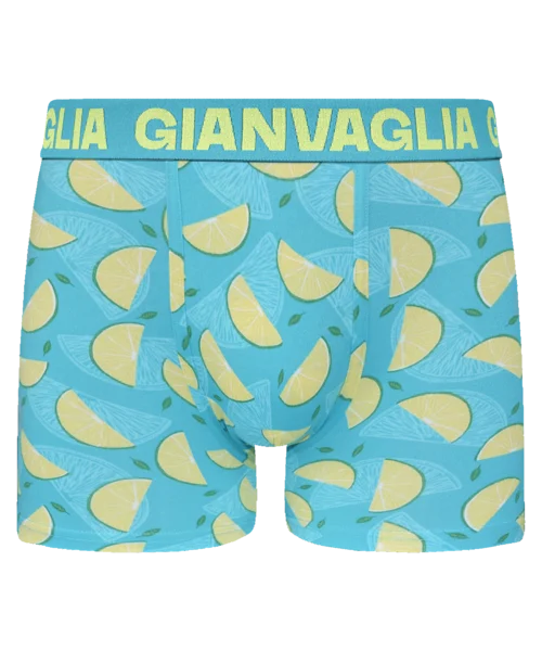 Lot de 5 Boxers Gianvaglia