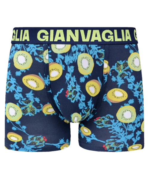 Lot de 5 Boxers Gianvaglia