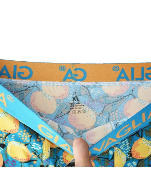 Lot de 5 Boxers Gianvaglia