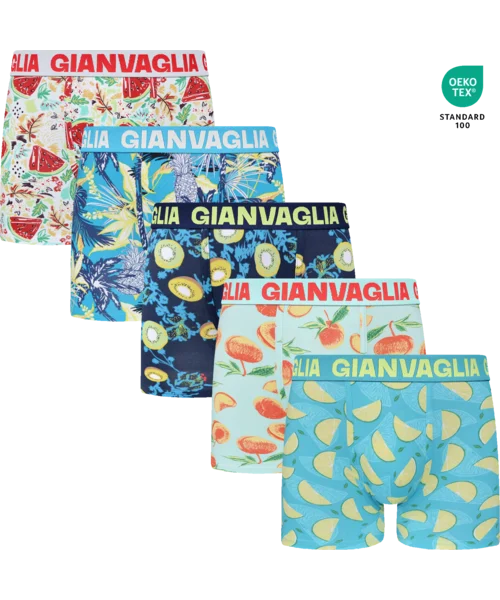 Lot de 5 Boxers Gianvaglia